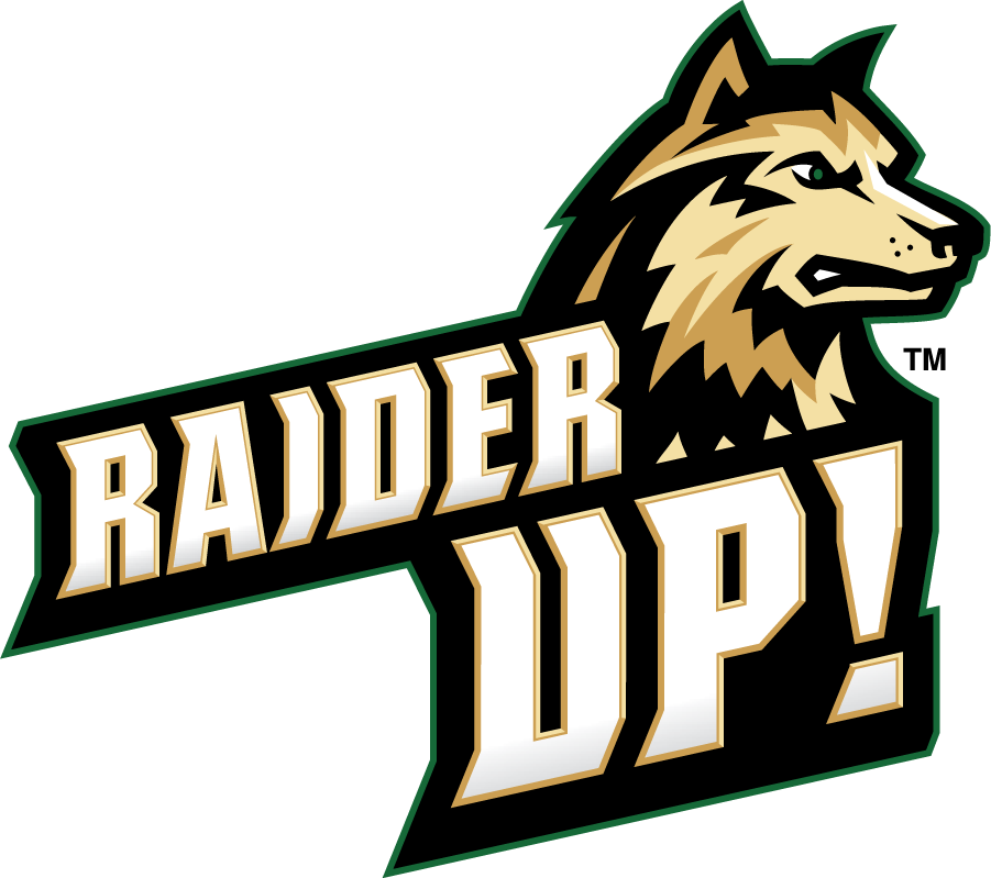 Wright State Raiders 2017-Pres Secondary Logo diy DTF decal sticker